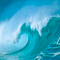   Sea Wave