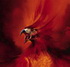   Fiery Phoenix