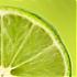   LimeTime